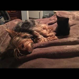 Meet your Posher, Monique